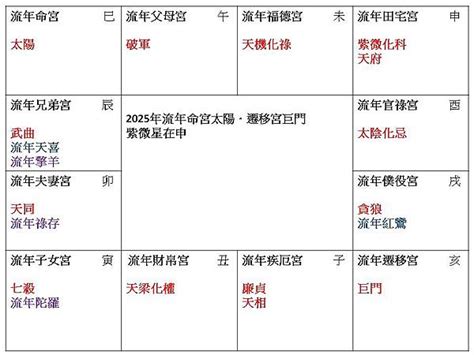 遷移宮太陽巨門職業|2025流年「命宮太陽．遷移宮巨門」－紫微分析研究。